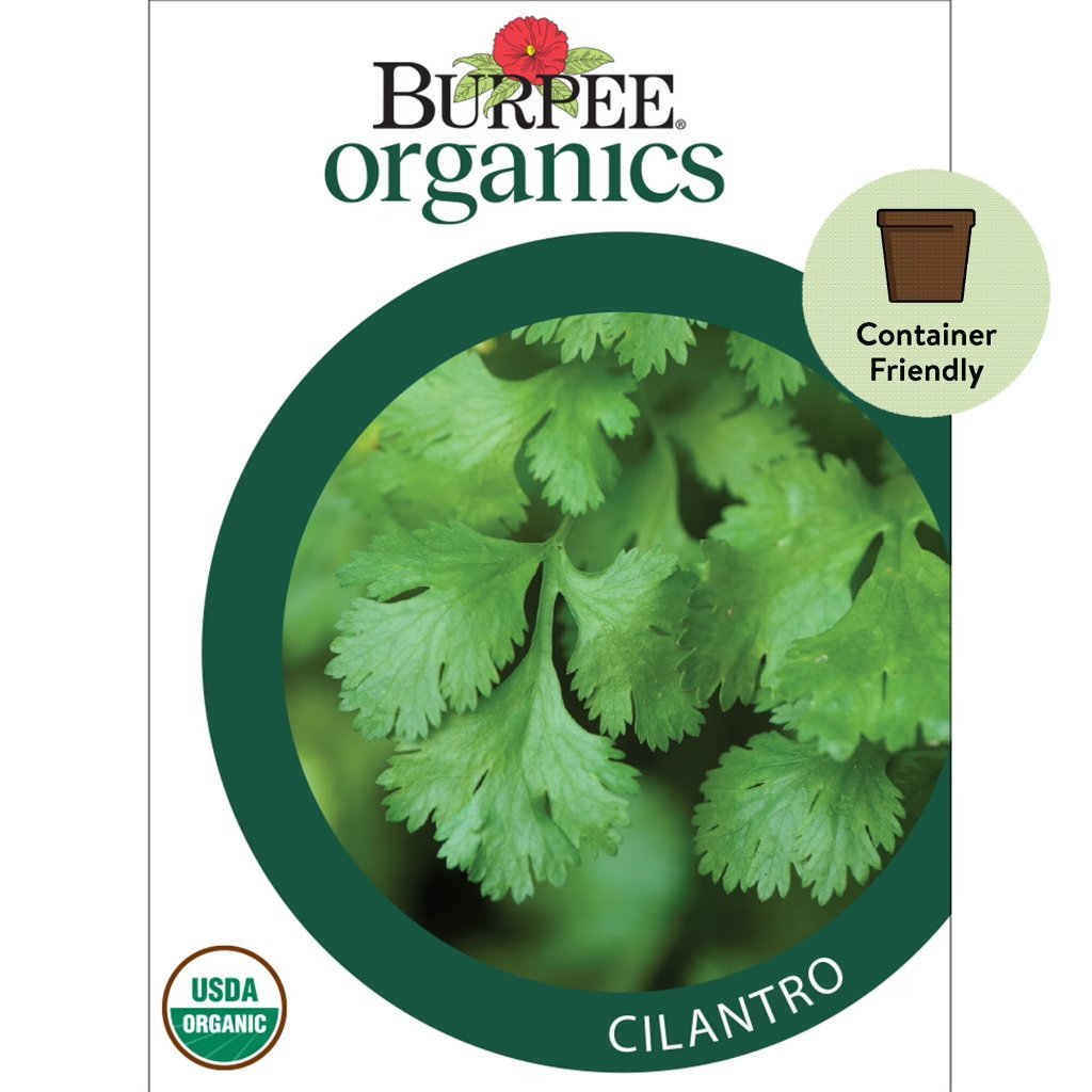 Cilantro packet