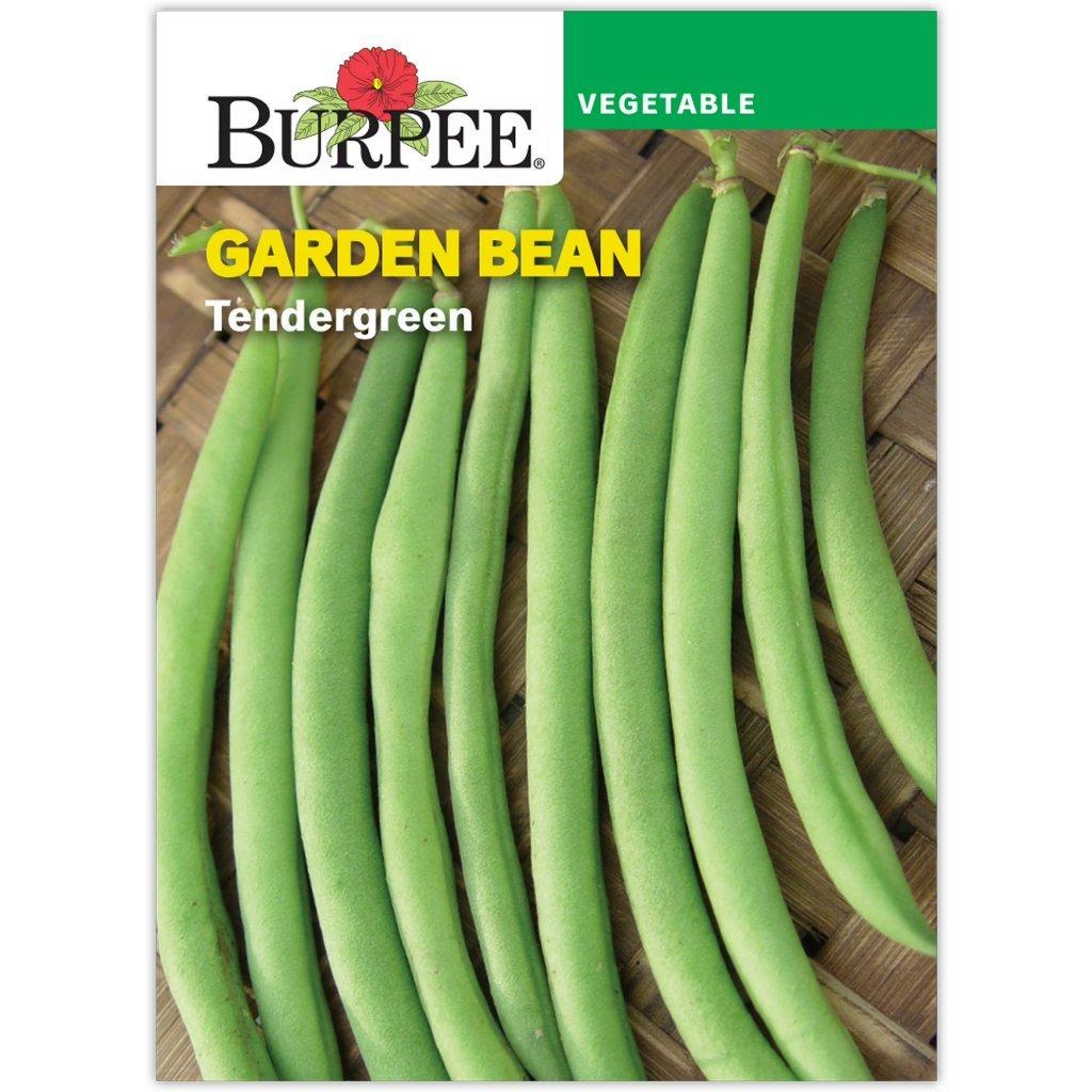 Tendergreen packet