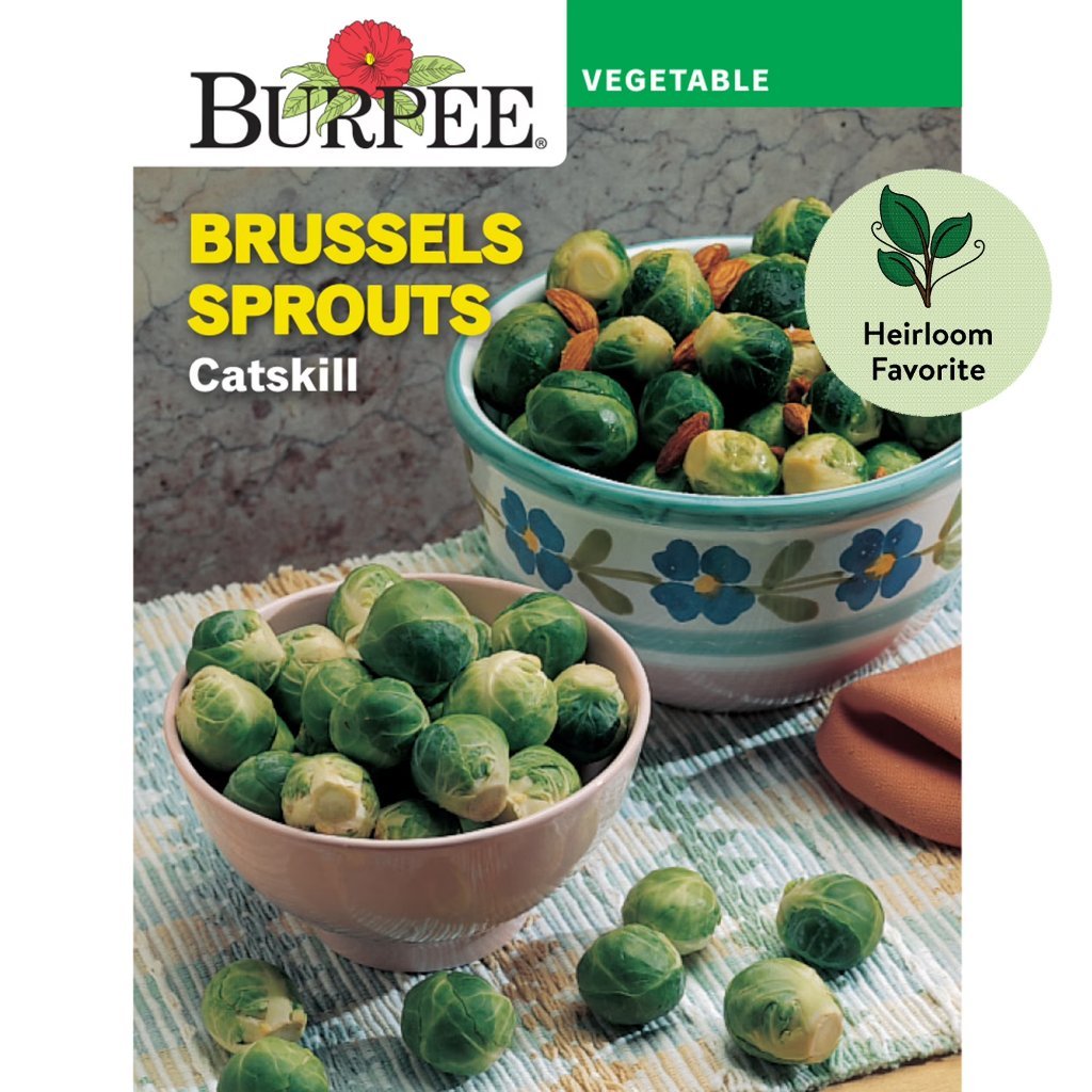 Catskill packet