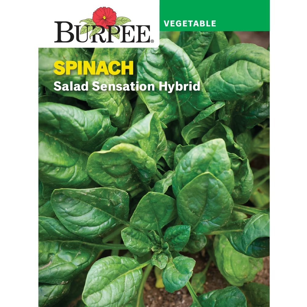 Salad Sensation Hybrid packet