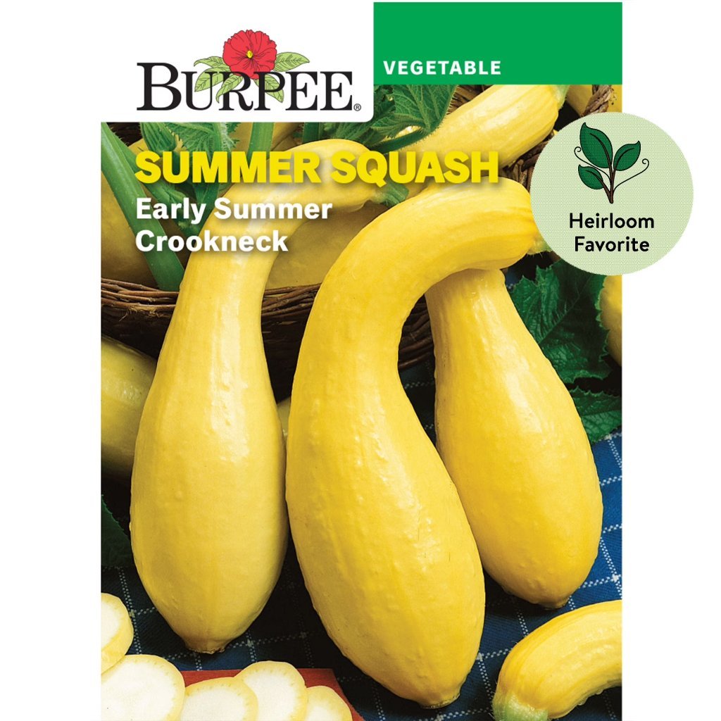 Early Summer Crookneck packet