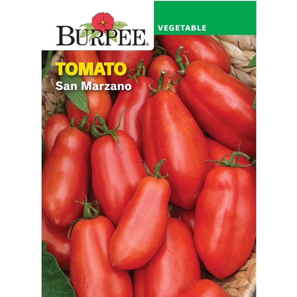 Burpee packet