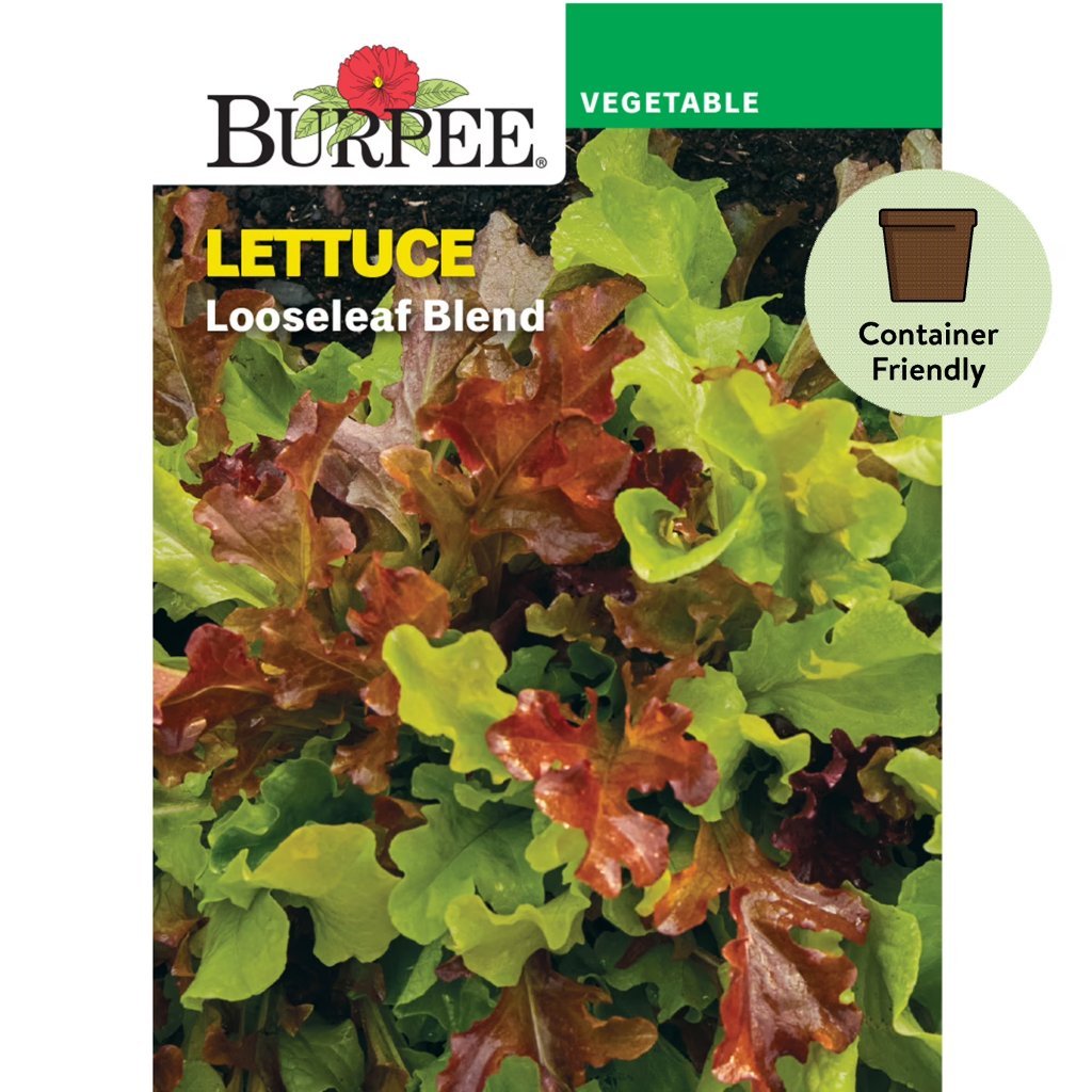 Looseleaf Blend packet