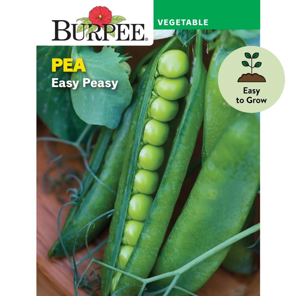 Burpee packet