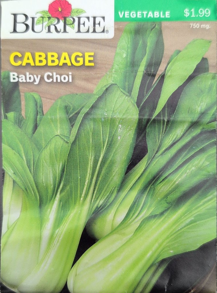 Baby Choi