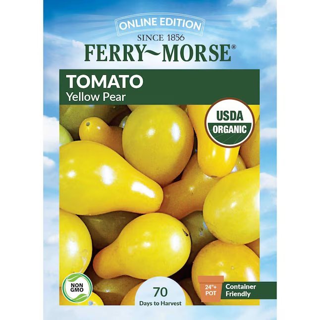 Yellow Pear