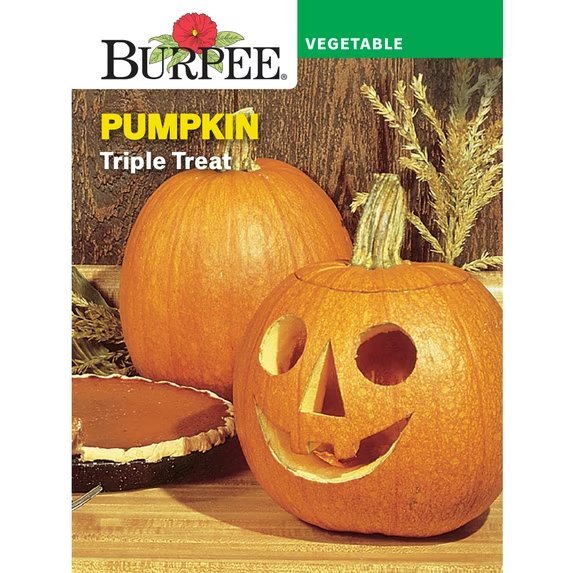 Triple Treat packet