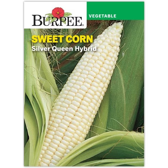 Silver Queen Hybrid packet