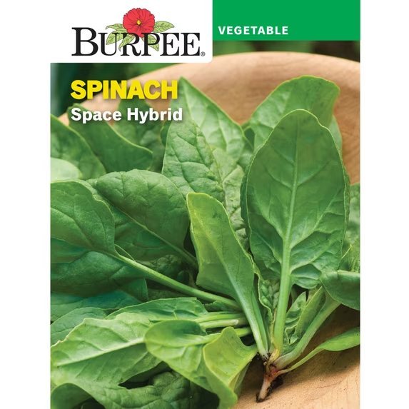 Space Hybrid packet