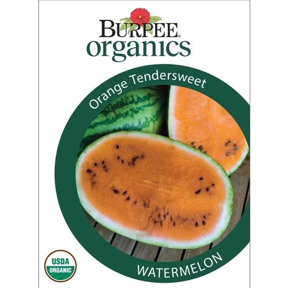 Orange Tendersweet packet