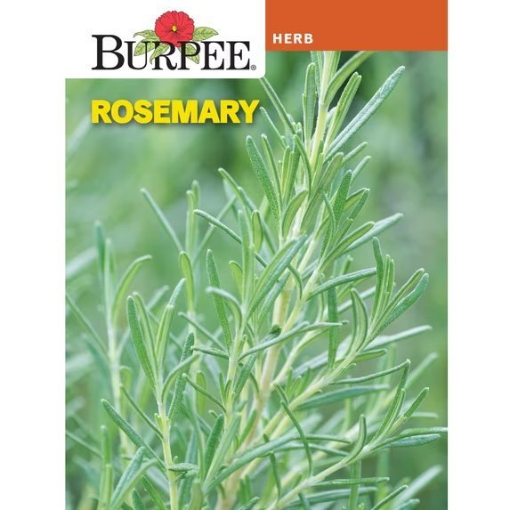 Rosemary packet
