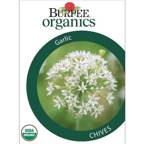Garlic packet