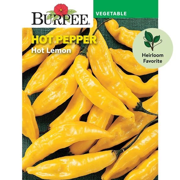 Hot Lemon packet