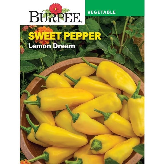 Lemon Dream packet