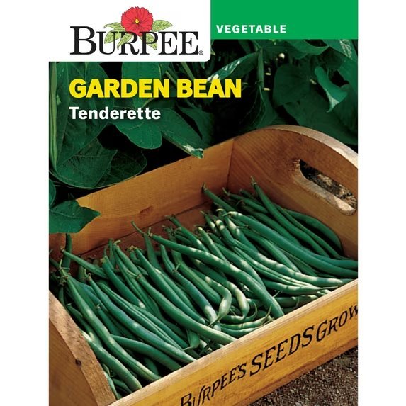 Tenderette Bush packet