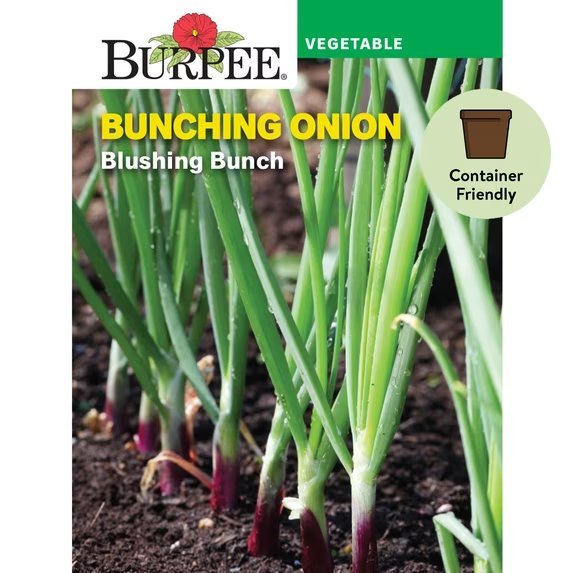 Blushing Bunch packet