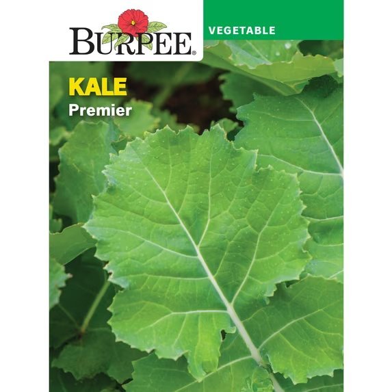 Premier packet