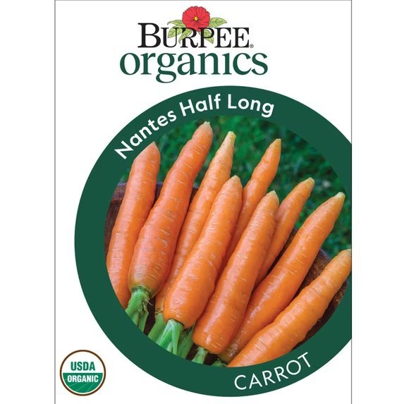 Packet front