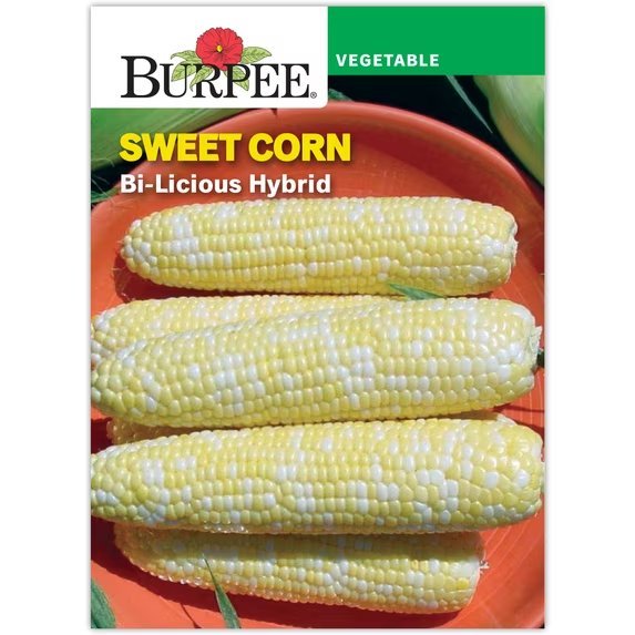 Bi-Licious Hybrid packet