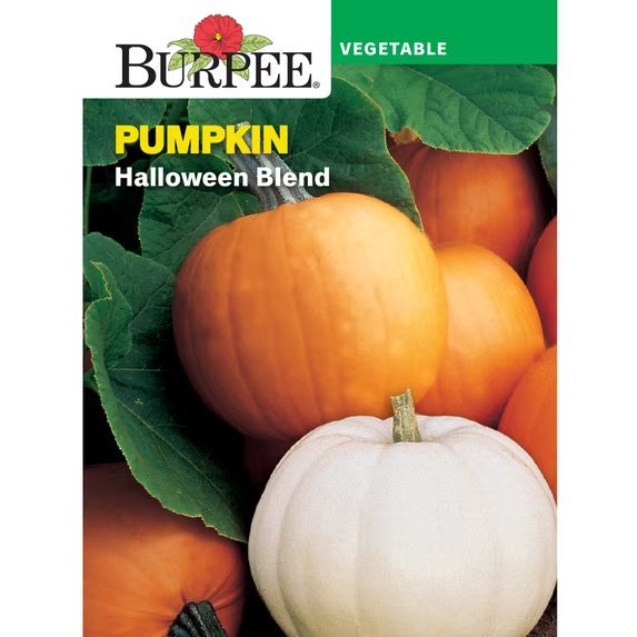 Halloween Blend packet