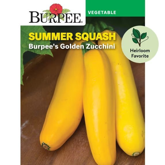 Golden Zucchini