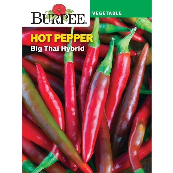 Big Thai Hybrid packet
