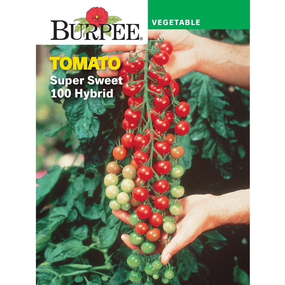 Burpee packet