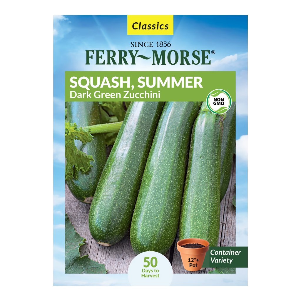 Dark Green Zucchini