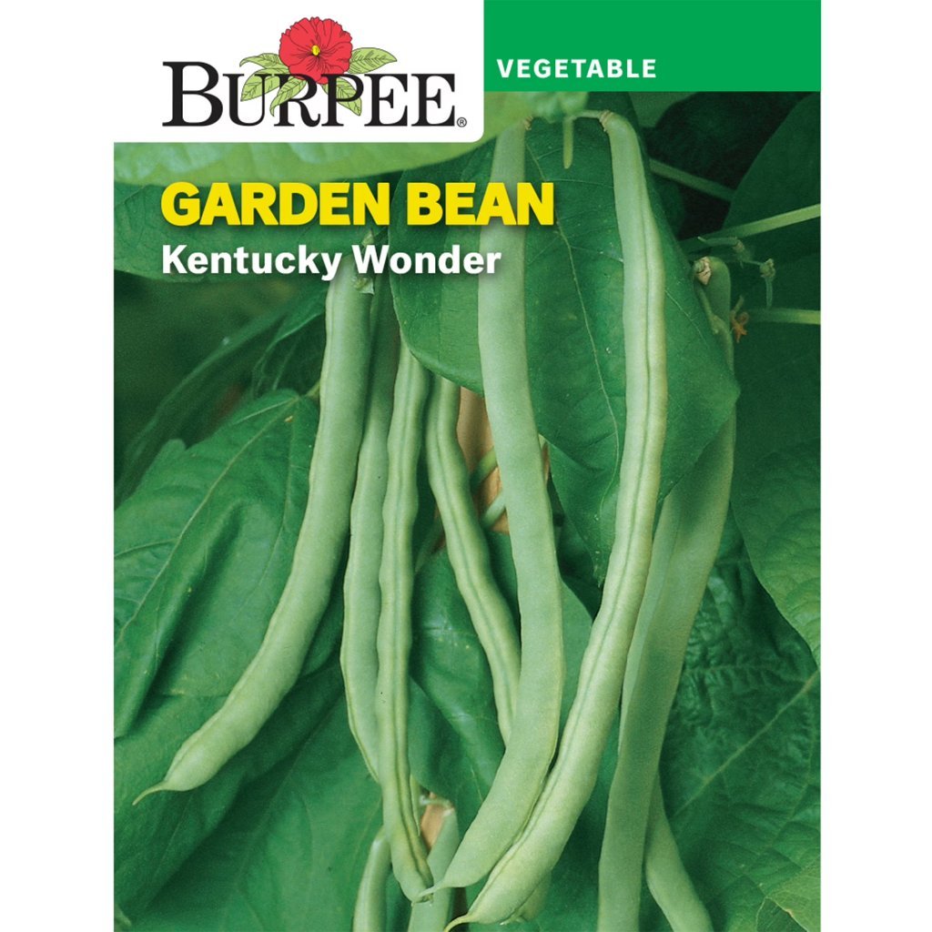 Burpee packet