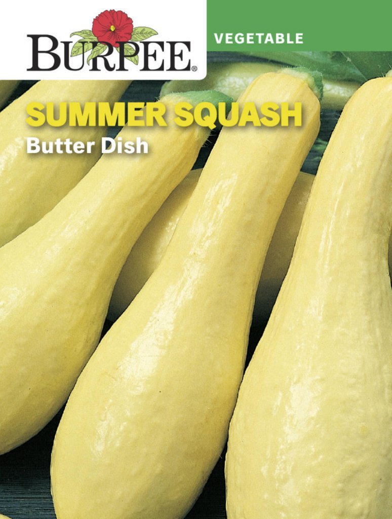 Butter Dish