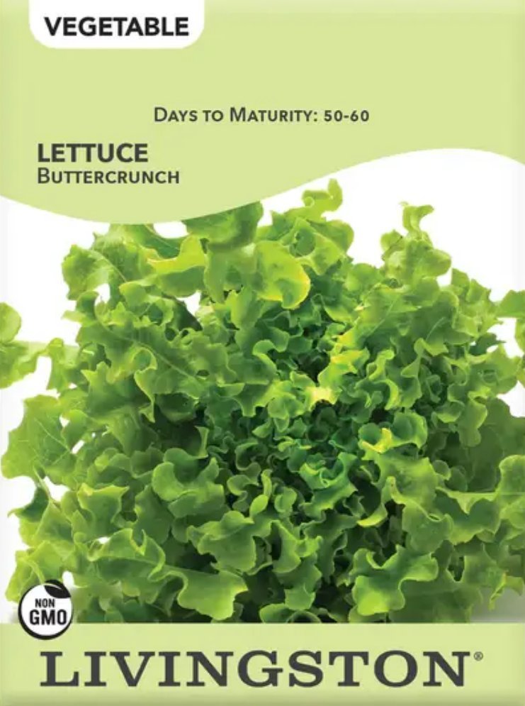 Buttercrunch