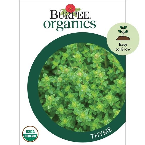 Thyme